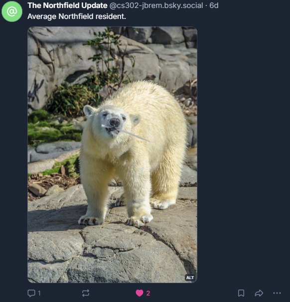 Screenshot of a post on Bluesky, with an image of a polar bear and a caption reading 'Average Northfield resident.'